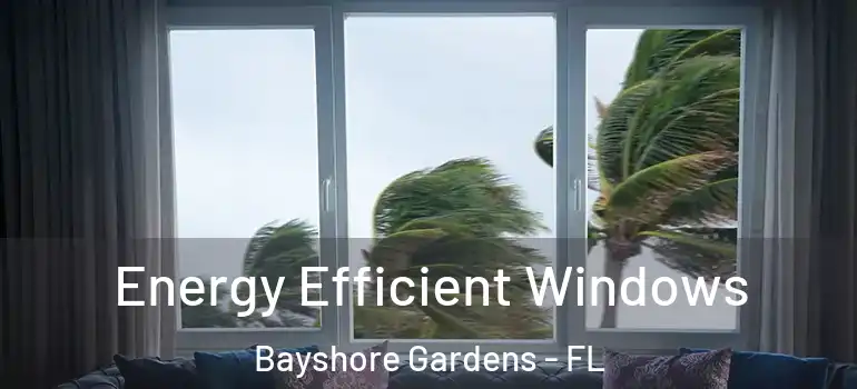 Energy Efficient Windows Bayshore Gardens - FL