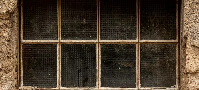 Traditional Double Front Doors in Bayshore Gardens, FL
