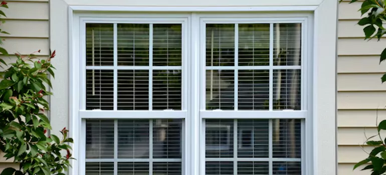 Custom Double Hung Windows in Bayshore Gardens, FL