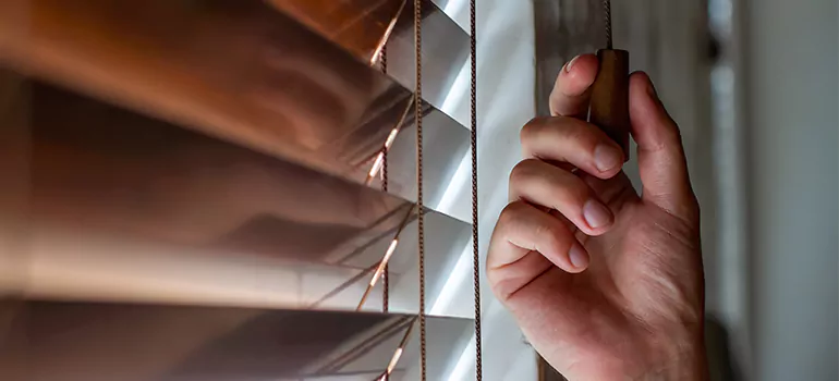 Double Roller Blinds in Bayshore Gardens, FL