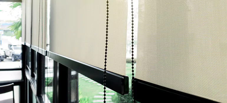 Blackout Window Shades in Bayshore Gardens, FL