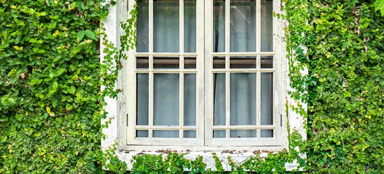 Garden Window Repair Near Me in Bayshore Gardens, FL