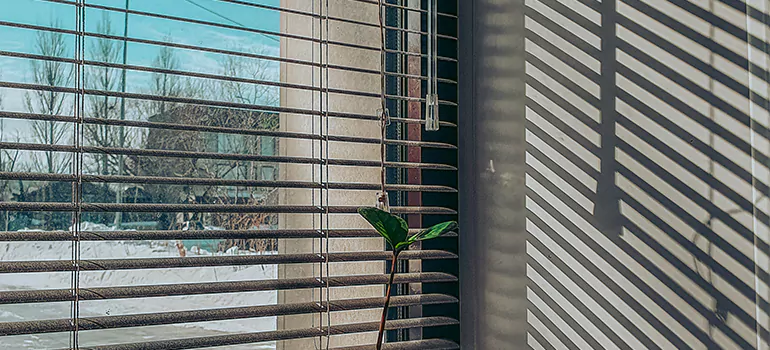 Commercial Window Blinds in Bayshore Gardens, FL