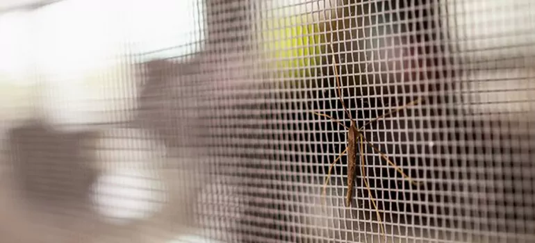 Repair Mosquito Mesh For Windows in Bayshore Gardens, FL