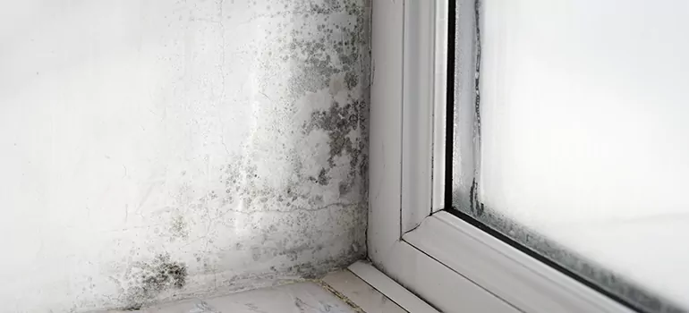 Bayshore Gardens, FL