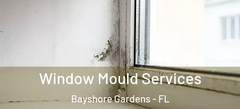 Window Mould Services Bayshore Gardens - FL